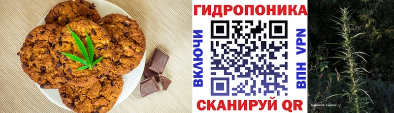 купить закладку  Александровск-Сахалинский  Canna-Cookies конопля 