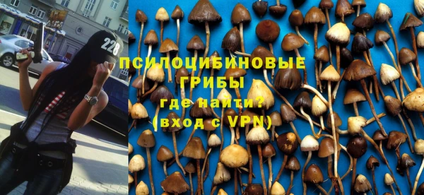 дмт Абаза