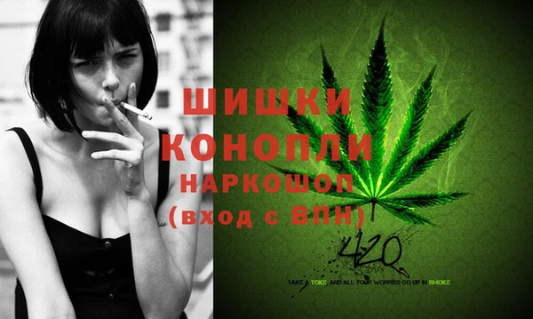 дмт Абаза